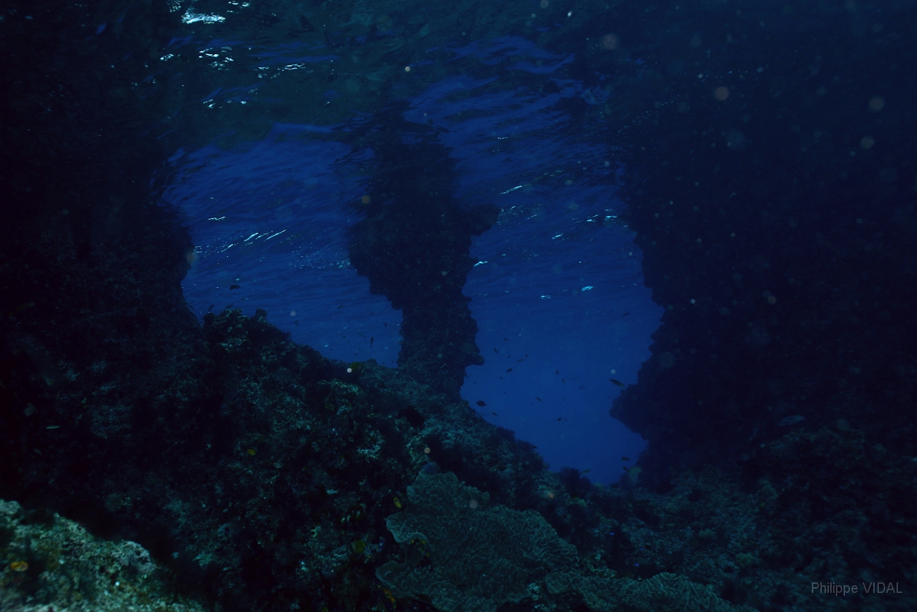 Raja Ampat 2016 - Corail - Boo Windows - IMG_4994_rc.jpg